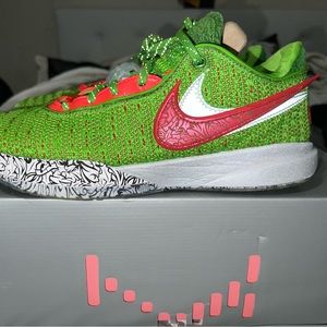 Lebron 20 grinch